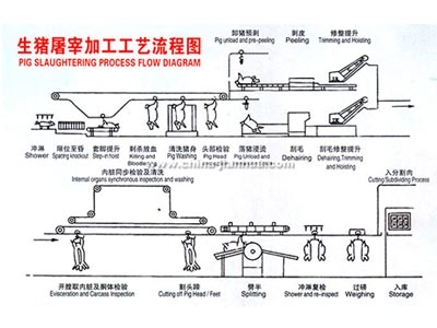 开云足球_开云足球(中国)